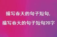 描写春天的句子短句20字【100句文案精选】