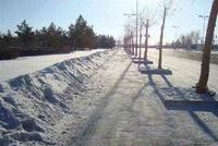 小雪节气（2020）