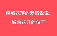 城南花开的句子【100句文案】 城南花开的句子【100句文案】