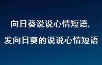 发向日葵的说说心情短语【100句文案】 发向日葵的说说心情短语【100句文案】