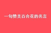 一句赞美百合花的名言(精选61句) 一句赞美百合花的名言(精选61句)