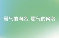 霸气的网名【精品文案100句】