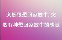 突然有种想回家放牛的感觉(100句) 突然有种想回家放牛的感觉(100句)
