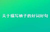 关于描写柚子的好词好句(精选75句) 关于描写柚子的好词好句(精选75句)
