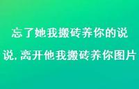 离开他我搬砖养你图片(100句)