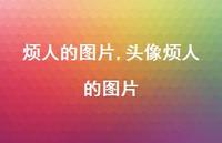 头像烦人的图片【100句文案】 头像烦人的图片【100句文案】