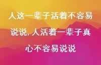 人活着一辈子真心不容易说说【精选100句】 人活着一辈子真心不容易说说【精选100句】