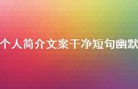 个人简介文案干净短句幽默44句汇总
