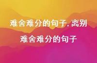 离别难舍难分的句子【100句文案精选】