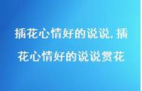 插花心情好的说说赏花(100句)