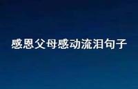 感恩父母感动流泪句子53句汇总 感恩父母感动流泪句子53句汇总