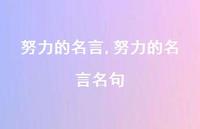 努力的名言名句【精品文案100句】