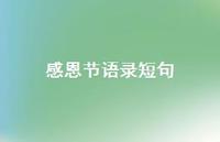 感恩节语录短句75句汇总 感恩节语录短句75句汇总