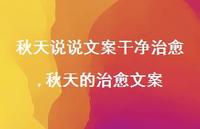 秋天的治好文案【100句文案】 秋天的治好文案【100句文案】