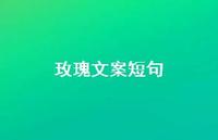 玫瑰文案短句【100句精选短句合集】