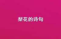 梨花的诗句65句汇总