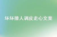 坏坏撩人调皮走心文案39句汇总