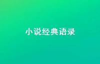 小说经典语录66句汇总 小说经典语录66句汇总