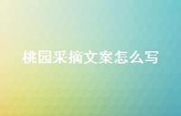 桃园采摘文案怎么写【100句精选短句合集】 桃园采摘文案怎么写【100句精选短句合集】
