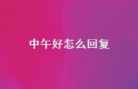 中午好怎么回复【94句精选短句合集】 中午好怎么回复【94句精选短句合集】