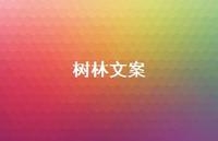 树林文案【100句精选短句合集】 树林文案【100句精选短句合集】