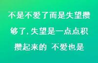 失望是一点点积攒起来的 不爱也是(100句) 失望是一点点积攒起来的 不爱也是(100句)