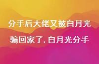白月光分手(100句) 白月光分手(100句)
