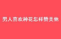 男人喜欢种花怎样赞美他【100句精选短句合集】