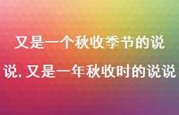 又是一年秋收时的说说(100句)