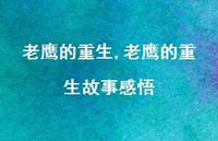 老鹰的重生故事感悟【100句文案精选】 老鹰的重生故事感悟【100句文案精选】