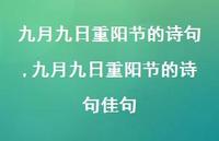 九月九日重阳节的诗句佳句【精品文案100句】 九月九日重阳节的诗句佳句【精品文案100句】