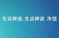 生活禅语 净慧【100句文案精选】 生活禅语 净慧【100句文案精选】