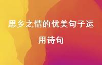 思乡之情的优美句子运用诗句(精选49句) 思乡之情的优美句子运用诗句(精选49句)