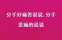 分手悲痛的说说(100句)