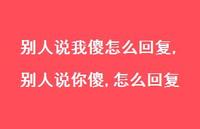 别人说你傻,怎么回复【精选100句】