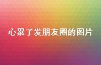 心累了发朋友圈的图片45句汇总 心累了发朋友圈的图片45句汇总