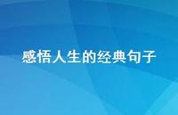 感悟人生的经典句子38句汇总