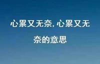 心累又无奈的意思【100句文案】 心累又无奈的意思【100句文案】