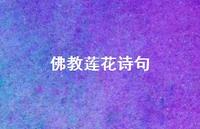 佛教莲花诗句(精选75句)