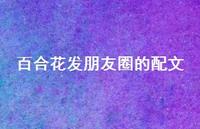 百合花发朋友圈的配文(精选62句)