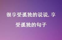 享受孤独的句子(100句)