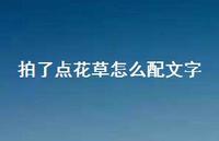 拍了点花草怎么配文字41句汇总