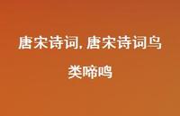 唐宋诗词鸟类啼鸣【100句文案精选】