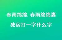 春雨绵绵妻独宿打一字什么字【精品文案100句】