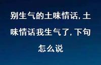 土味情话我生气了,下句怎么说【精选100句】 土味情话我生气了,下句怎么说【精选100句】