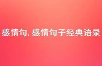 感情句子经典语录【100句文案精选】