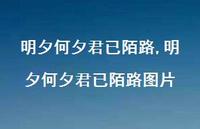 明夕何夕君已陌路图片【100句文案精选】