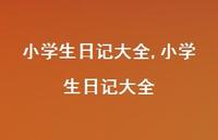 小学生日记大全【精品文案100句】