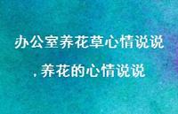养花的心情说说(100句)