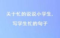 写学生忙的句子【精选100句】